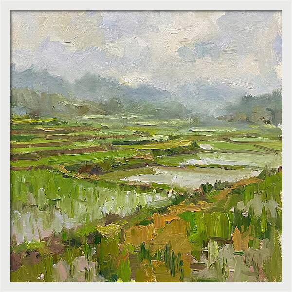 Lush Green Rice Paddy Landscape