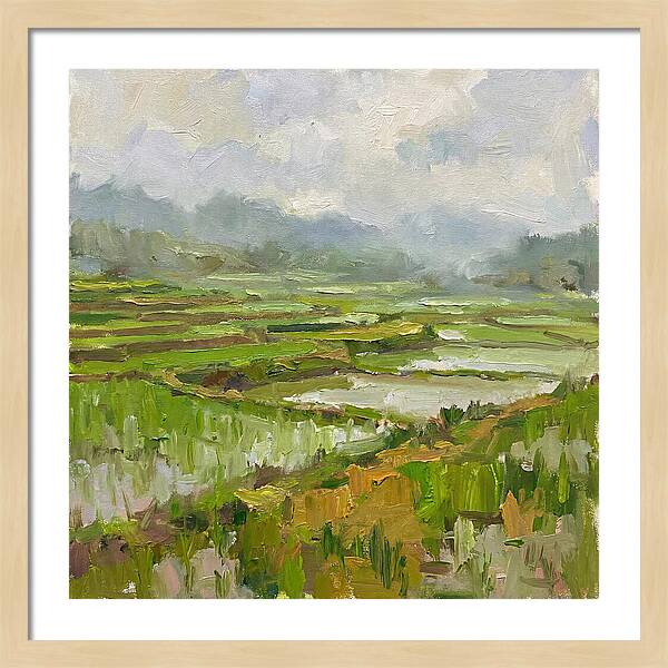 Lush Green Rice Paddy Landscape