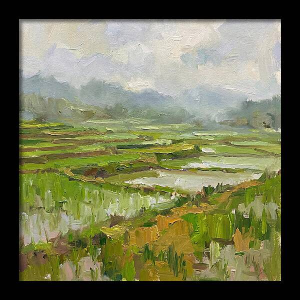 Lush Green Rice Paddy Landscape