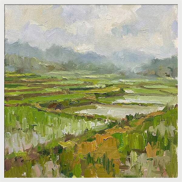 Lush Green Rice Paddy Landscape
