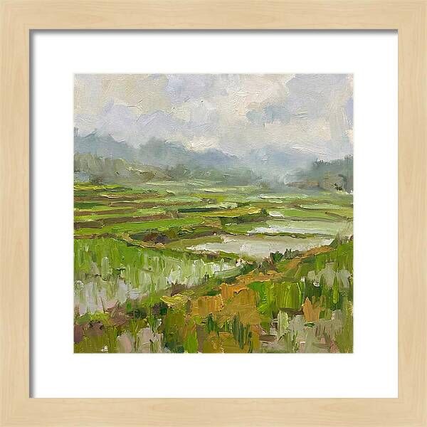 Lush Green Rice Paddy Landscape