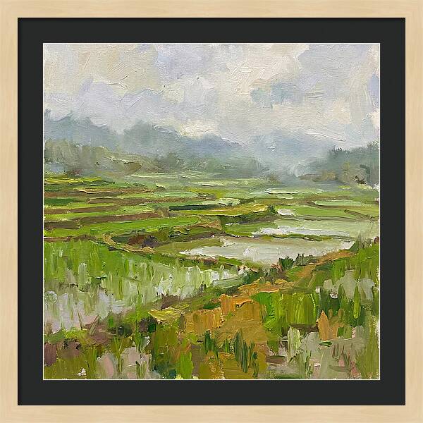 Lush Green Rice Paddy Landscape