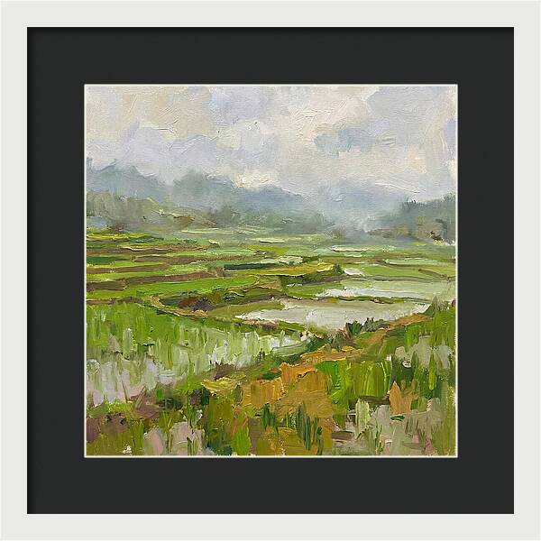 Lush Green Rice Paddy Landscape