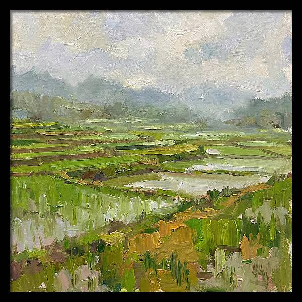 Lush Green Rice Paddy Landscape