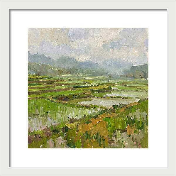 Lush Green Rice Paddy Landscape