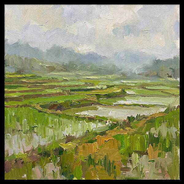 Lush Green Rice Paddy Landscape