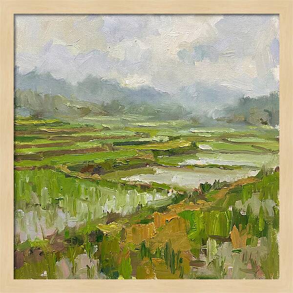 Lush Green Rice Paddy Landscape