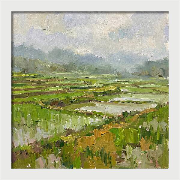Lush Green Rice Paddy Landscape