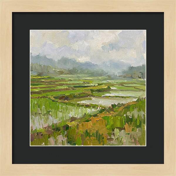 Lush Green Rice Paddy Landscape