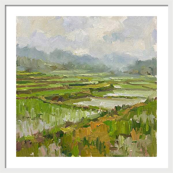 Lush Green Rice Paddy Landscape