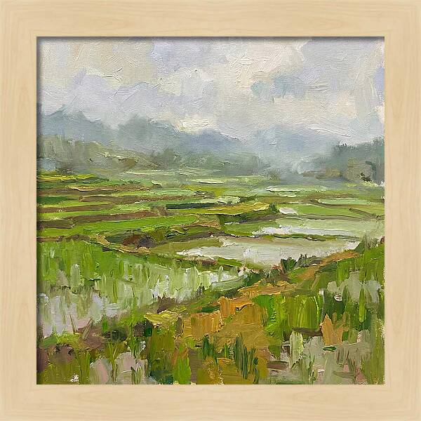 Lush Green Rice Paddy Landscape