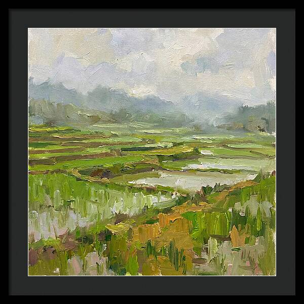 Lush Green Rice Paddy Landscape