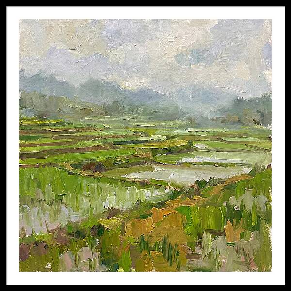 Lush Green Rice Paddy Landscape