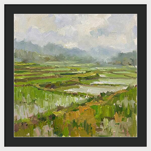 Lush Green Rice Paddy Landscape
