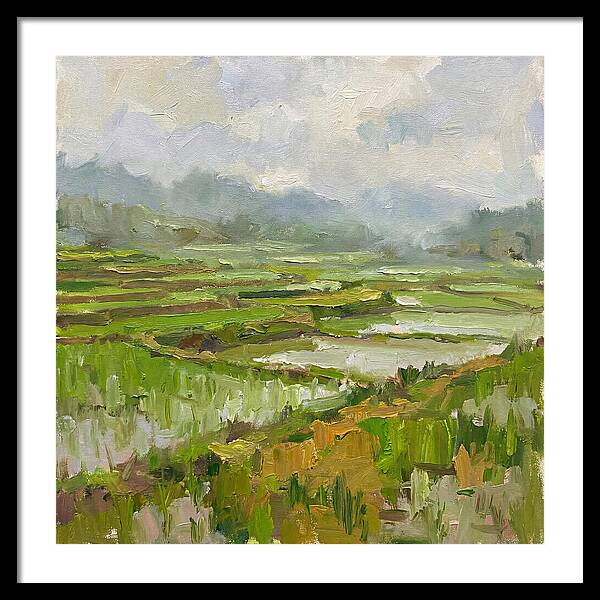 Lush Green Rice Paddy Landscape