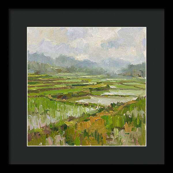 Lush Green Rice Paddy Landscape