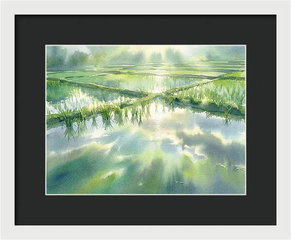 Lush Green Rice Paddy Reflections