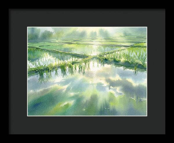 Lush Green Rice Paddy Reflections