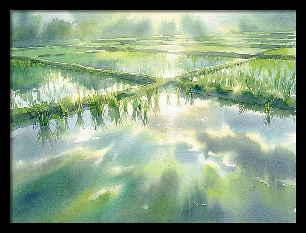 Lush Green Rice Paddy Reflections