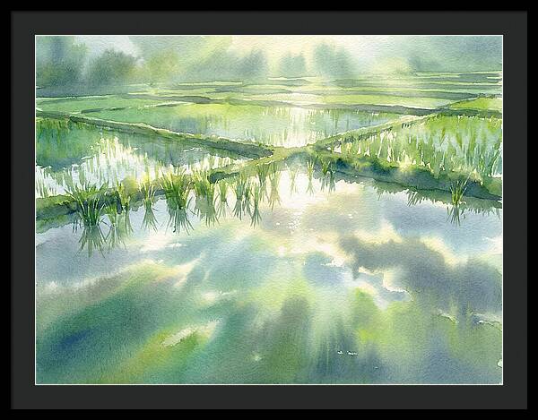 Lush Green Rice Paddy Reflections