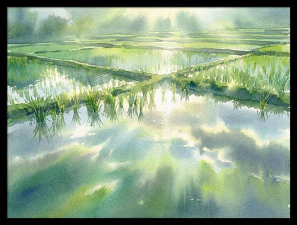 Lush Green Rice Paddy Reflections