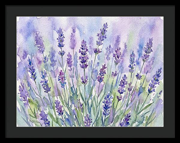 Lush Lavender Fields