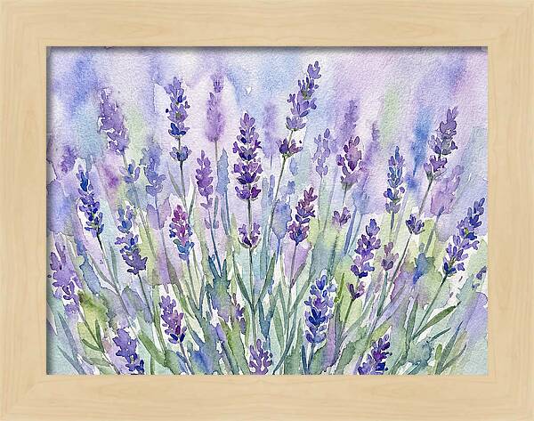 Lush Lavender Fields