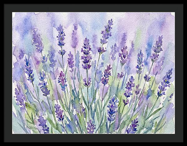 Lush Lavender Fields
