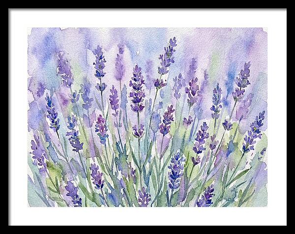 Lush Lavender Fields