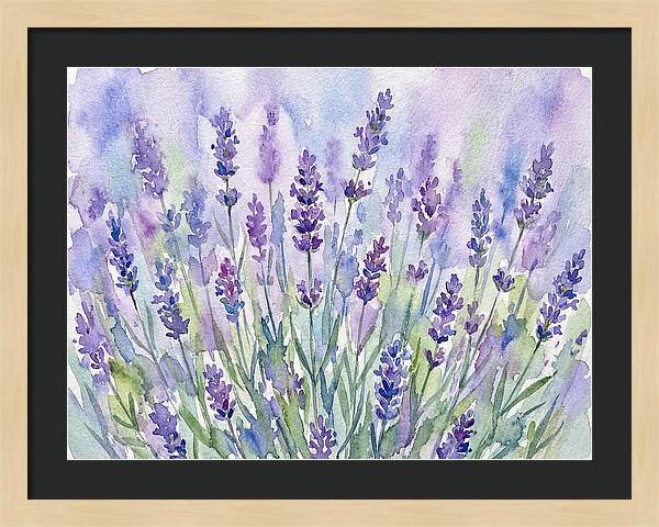 Lush Lavender Fields