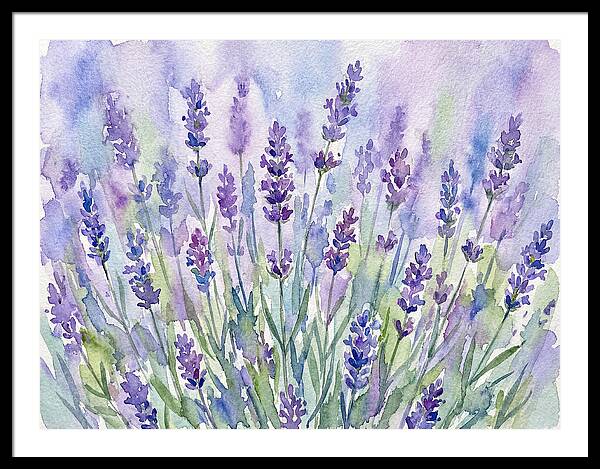 Lush Lavender Fields