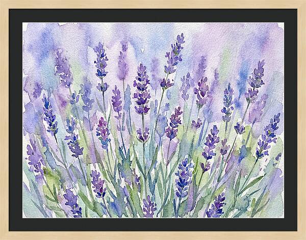 Lush Lavender Fields