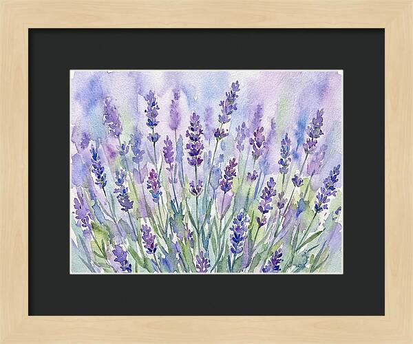 Lush Lavender Fields