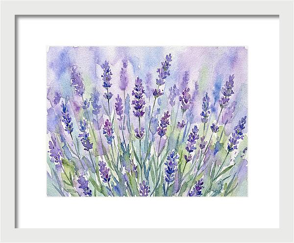 Lush Lavender Fields