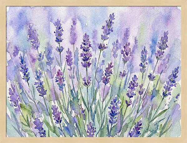 Lush Lavender Fields