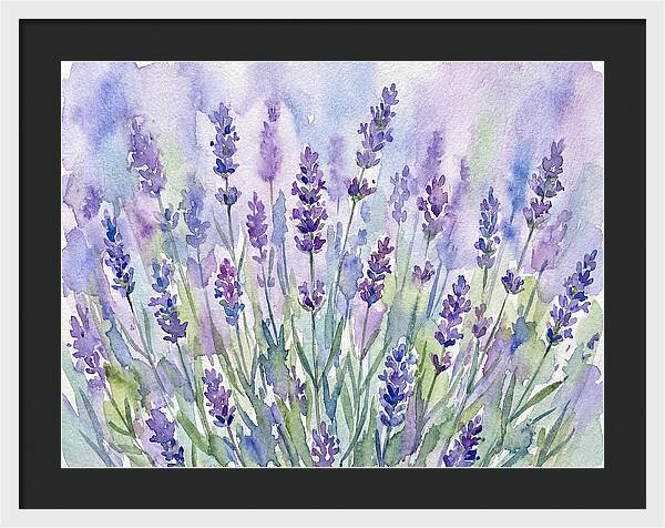 Lush Lavender Fields