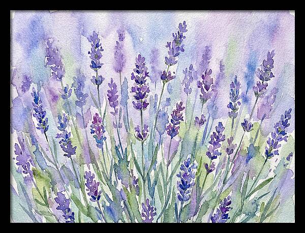 Lush Lavender Fields