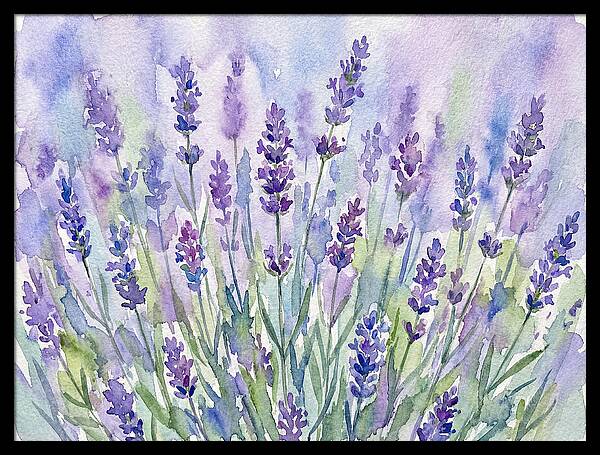 Lush Lavender Fields