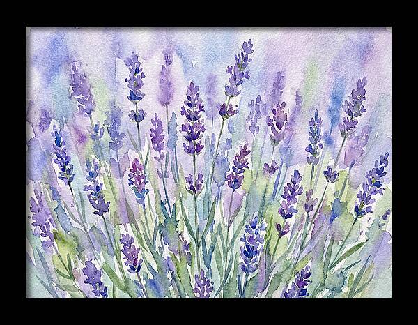 Lush Lavender Fields
