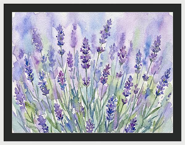 Lush Lavender Fields