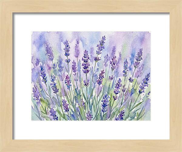 Lush Lavender Fields