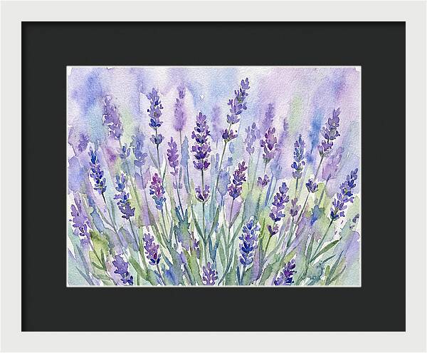Lush Lavender Fields