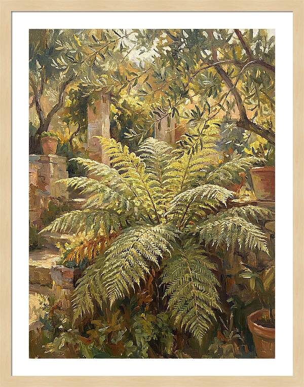 Lush Mediterranean Ferns