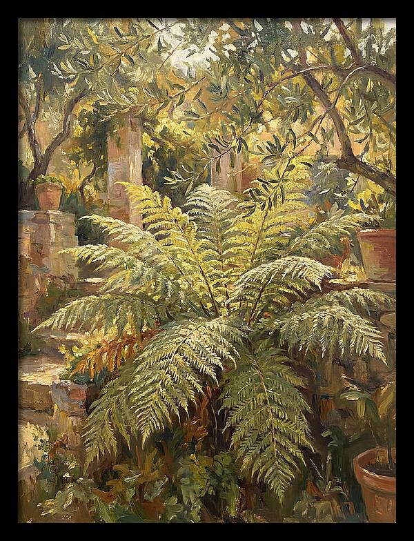 Lush Mediterranean Ferns