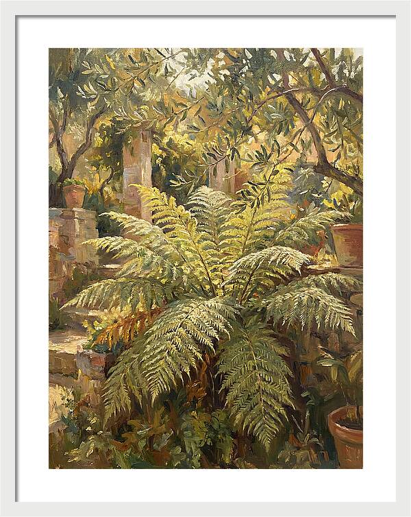 Lush Mediterranean Ferns