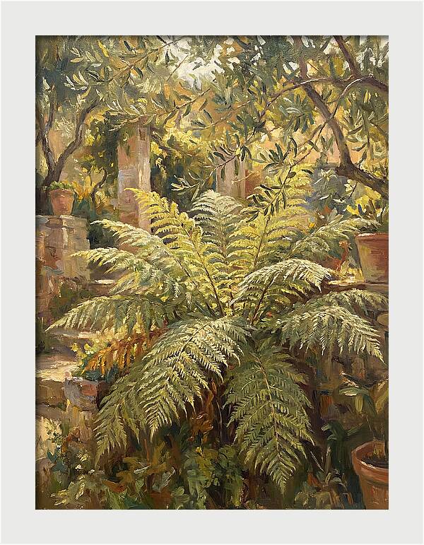 Lush Mediterranean Ferns
