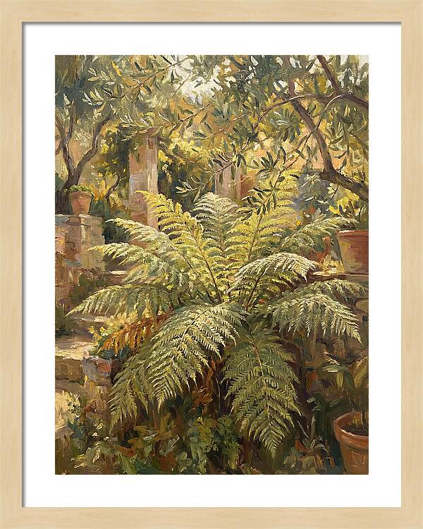 Lush Mediterranean Ferns
