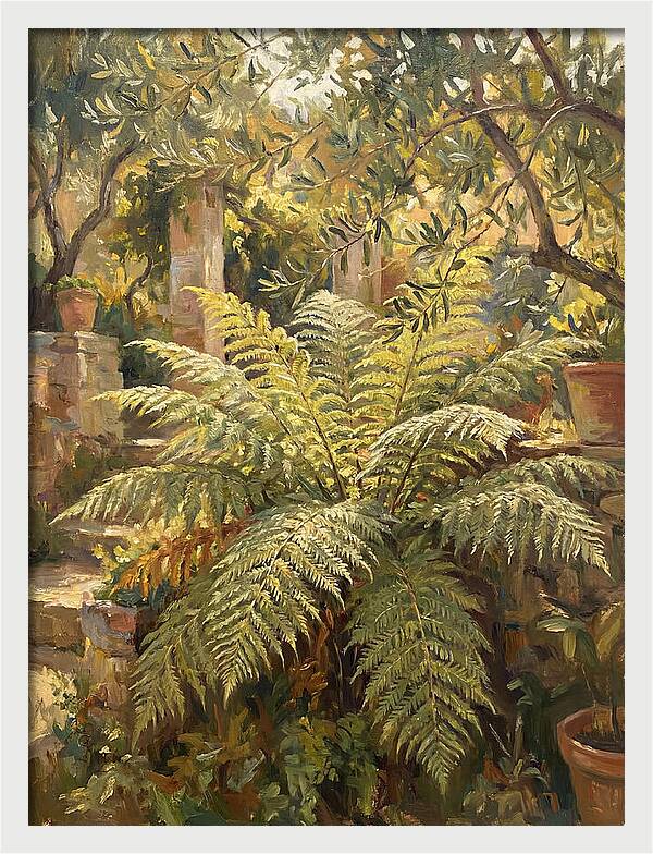 Lush Mediterranean Ferns