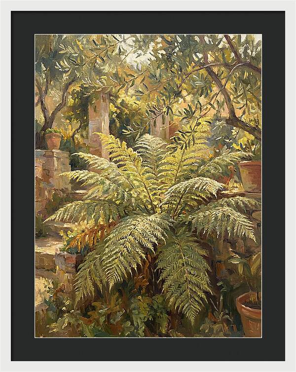 Lush Mediterranean Ferns