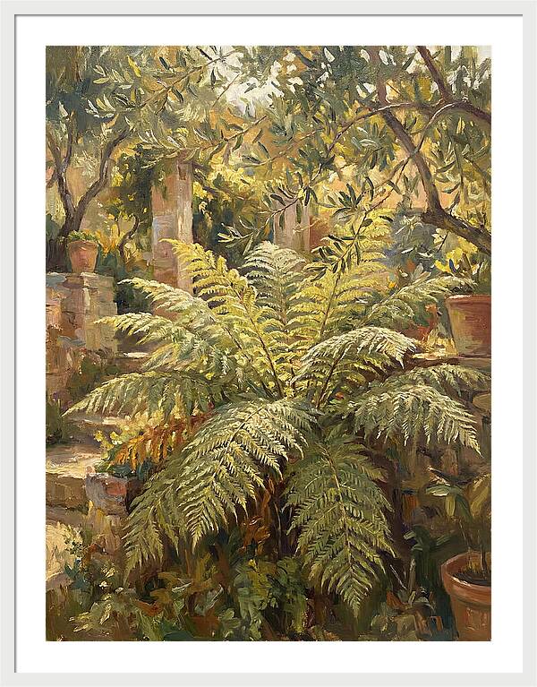 Lush Mediterranean Ferns